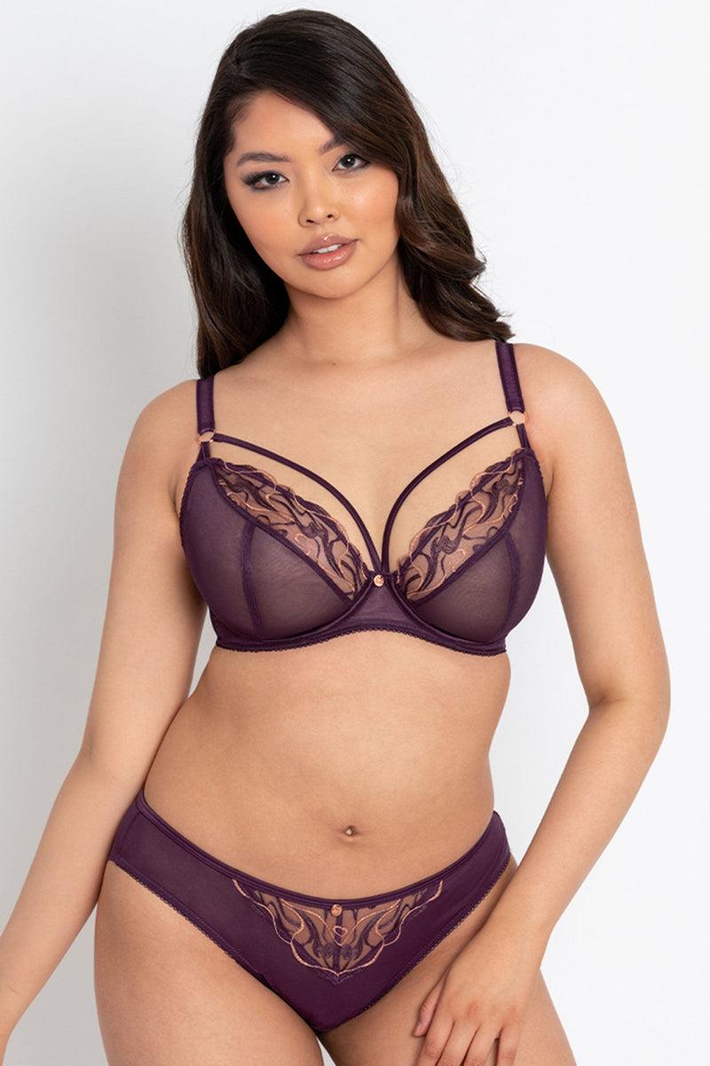 Playful Promises Fascinate Plum Plunge Bra