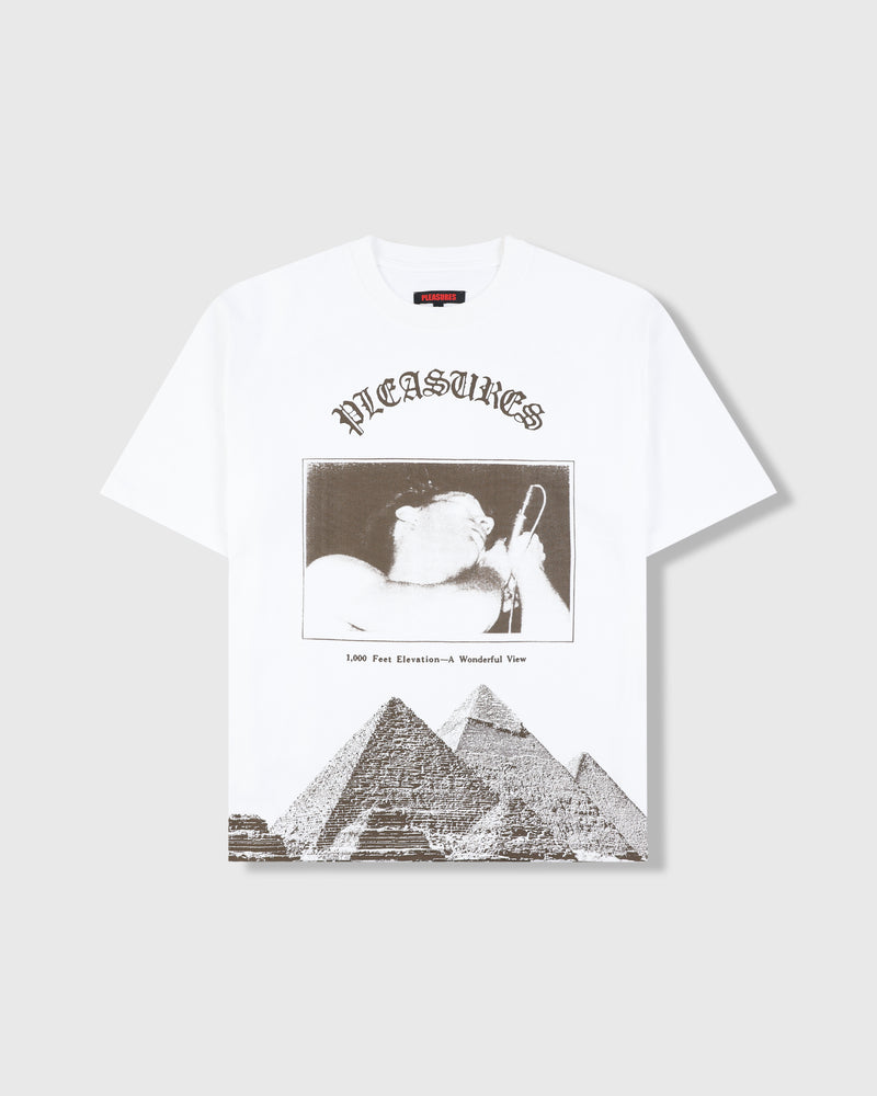 pleasures ELEVATION HEAVYWEIGHT SHIRT