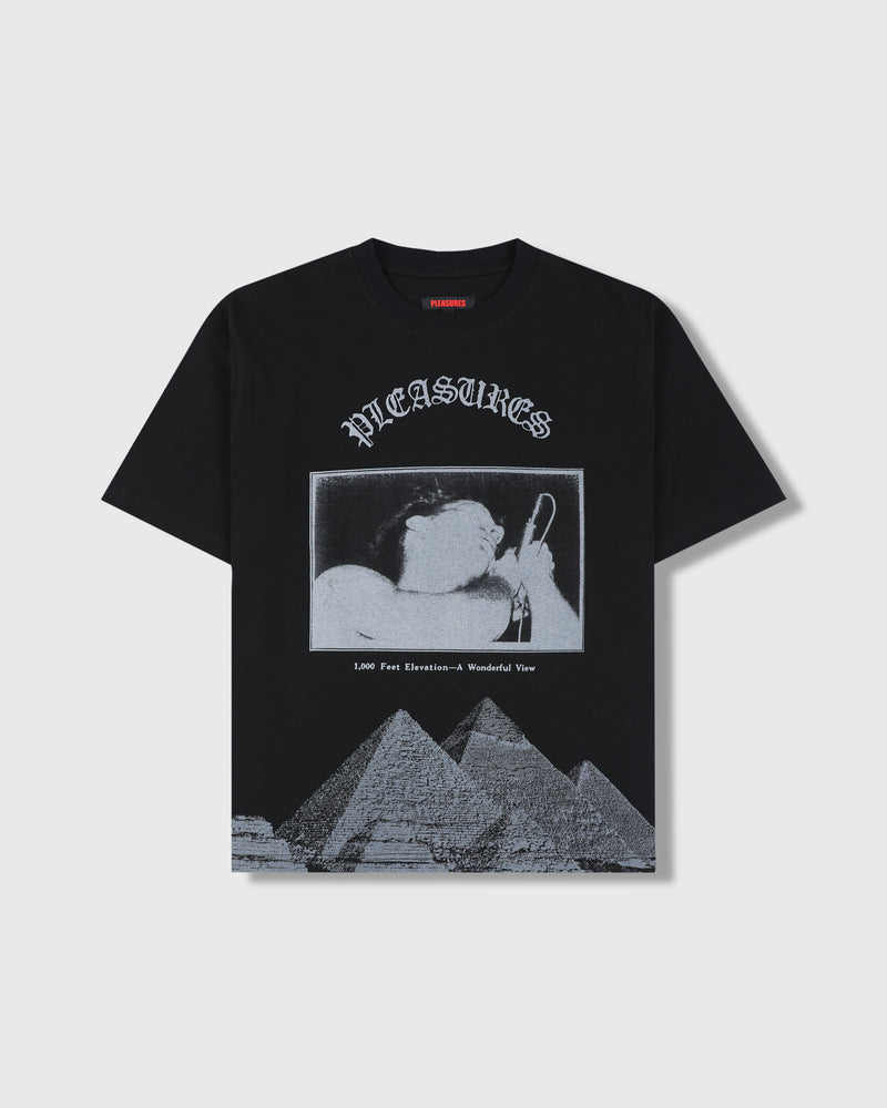 pleasures ELEVATION HEAVYWEIGHT SHIRT
