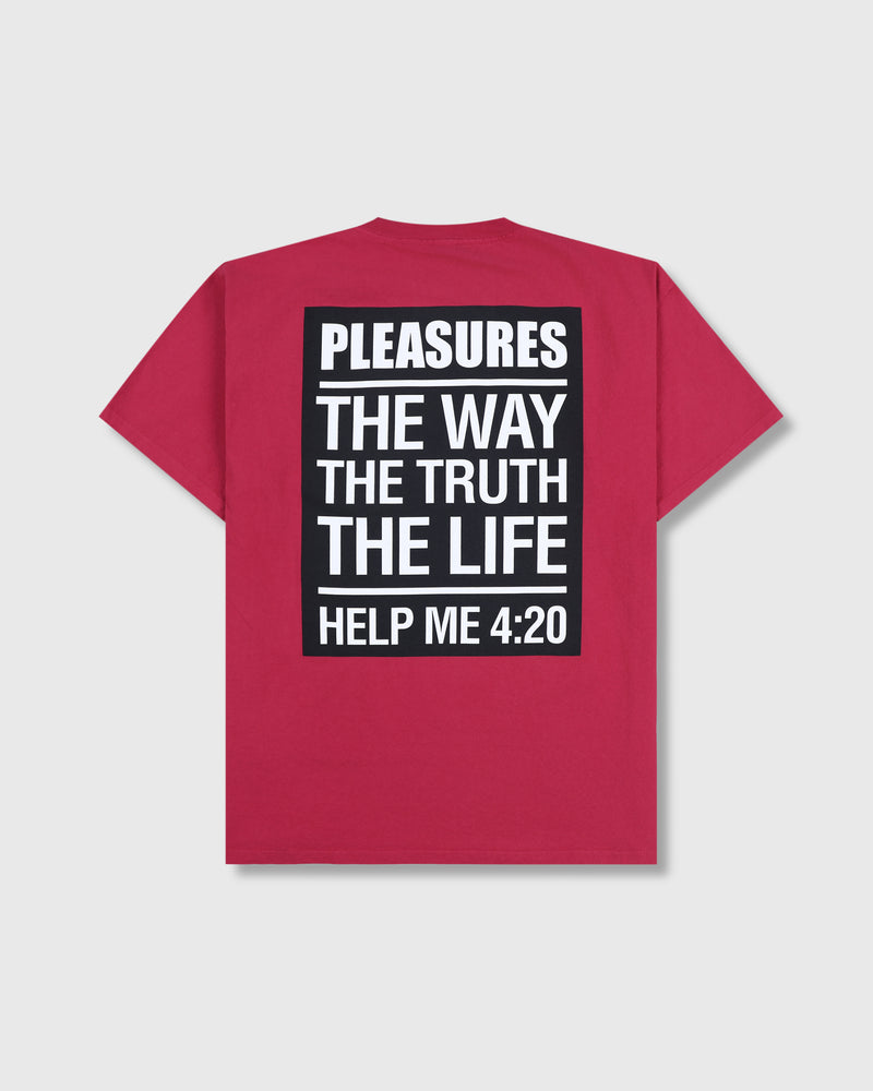 Pleasures SCRIPTURE T-SHIRT