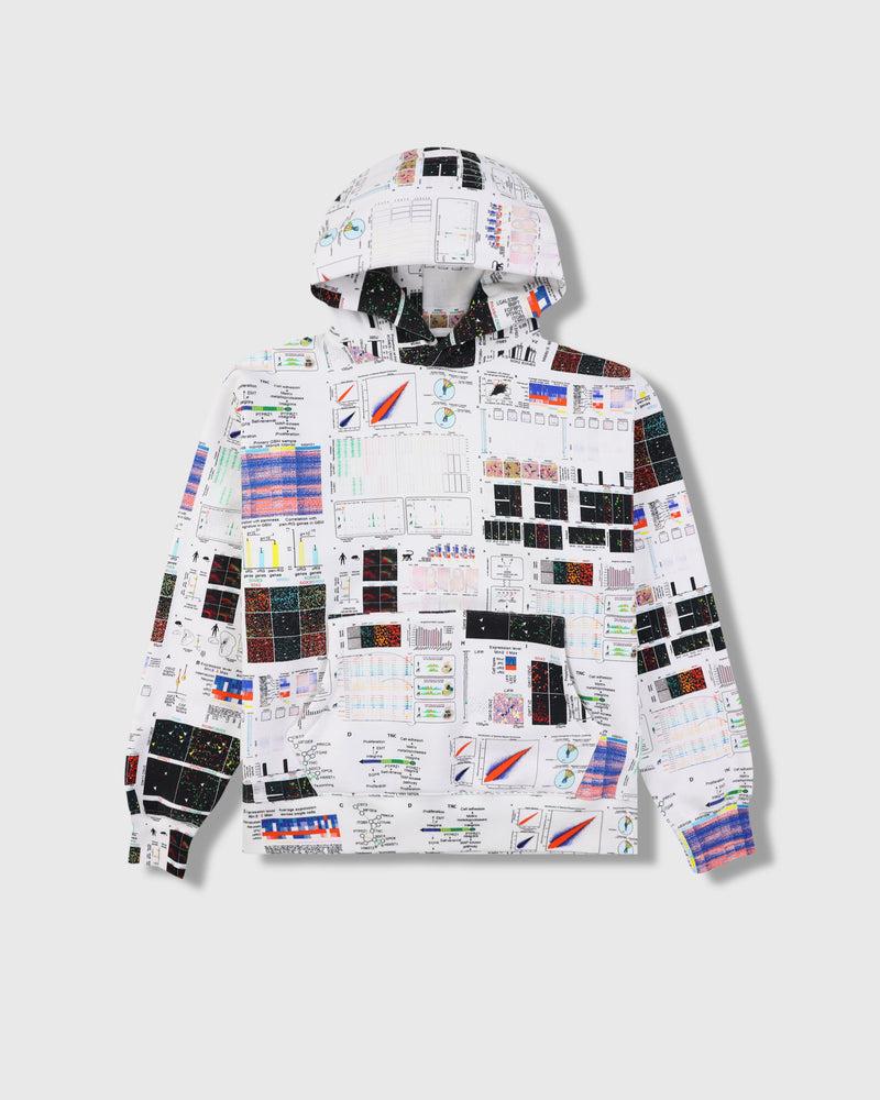 pleasures TEXTBOOK HOODIE