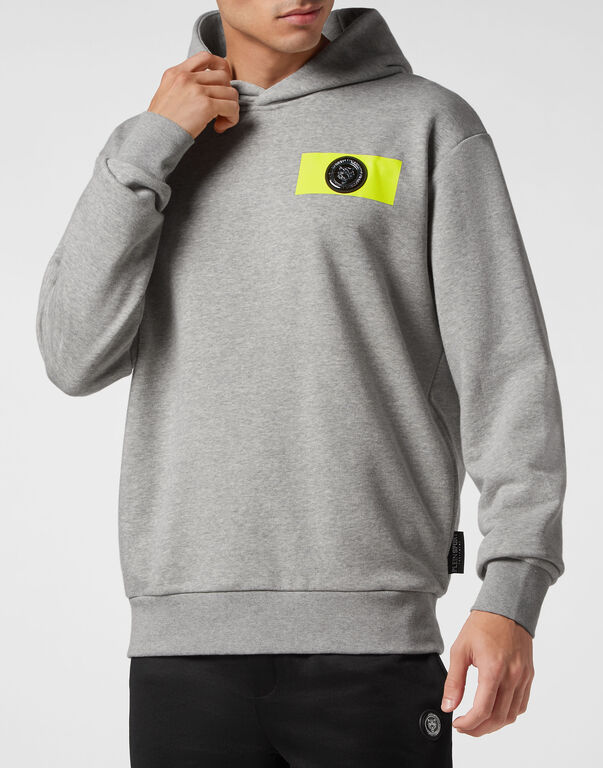 Plein Sport Hoodie Sweatshirt Tiger Crest Edition Grey