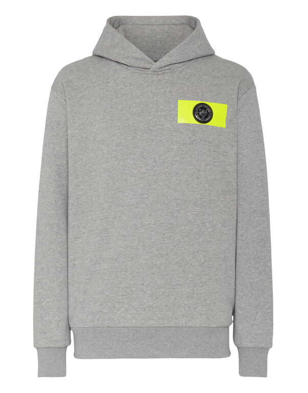 plein sport Hoodie Sweatshirt Tiger Crest Edition grey