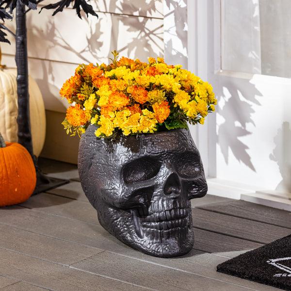plow & hearth 11" Skull Shaped Planter and Halloween Candy Holder