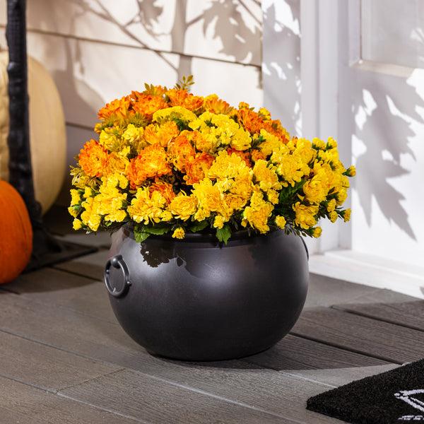 plow & hearth 12" Witch's Cauldron Planter and Halloween Candy Bowl