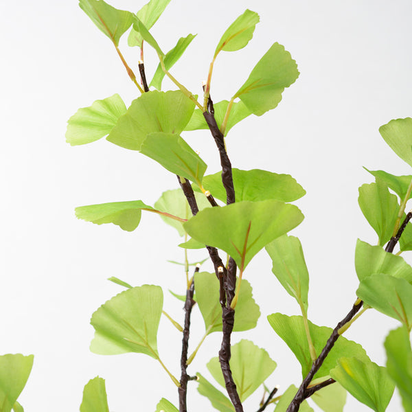 Plow & Hearth 4'H Indoor/Outdoor Electric Lighted Green Gingko Tree