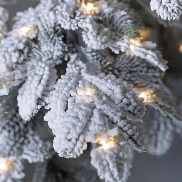 Plow & Hearth 6' Monte Rosa Flocked Alpine Fir Christmas Tree With 150 Warm White LEDs