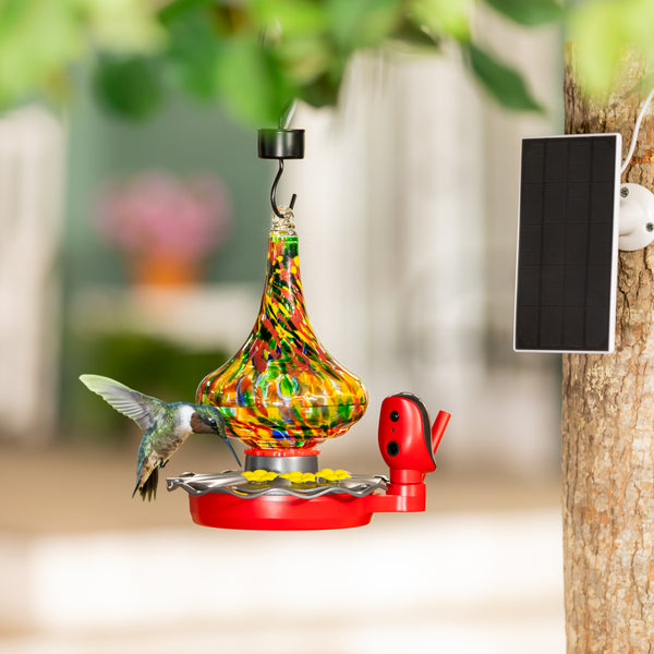 Plow & Hearth BirdsIVue Art Glass Hummingbird Smart Feeder