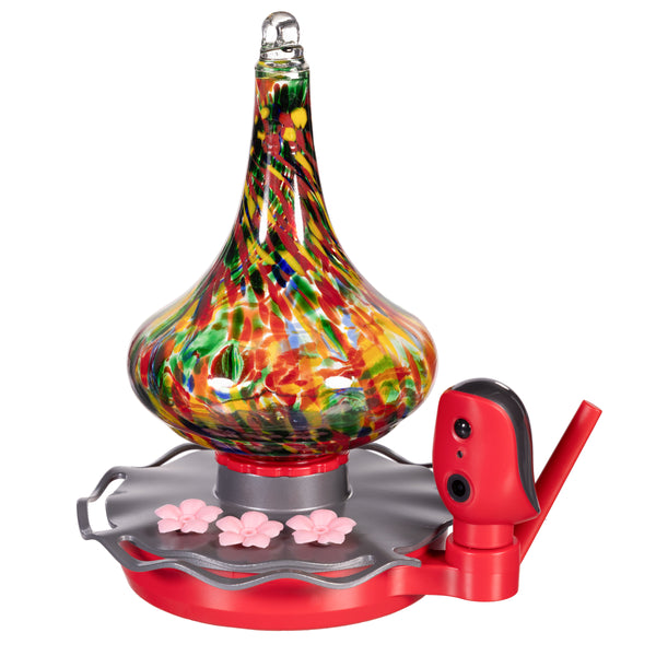 Plow & Hearth BirdsIVue Art Glass Hummingbird Smart Feeder