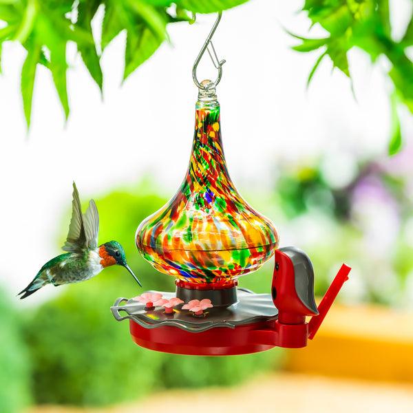plow & hearth BirdsIVue Art Glass Hummingbird Smart Feeder