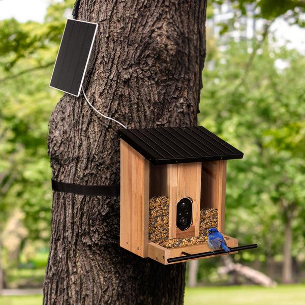 Plow & Hearth BirdsIVue Smart Feeder: Solar Wooden Bird Feeder