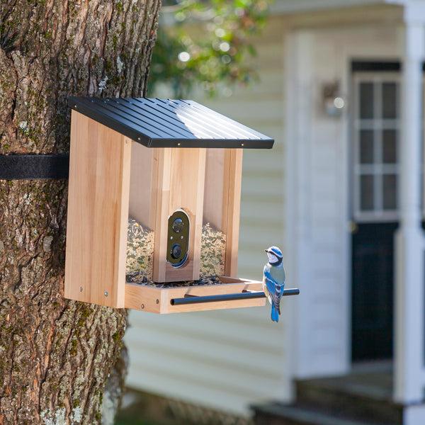 plow & hearth BirdsIVue Smart Feeder: Solar Wooden Bird Feeder