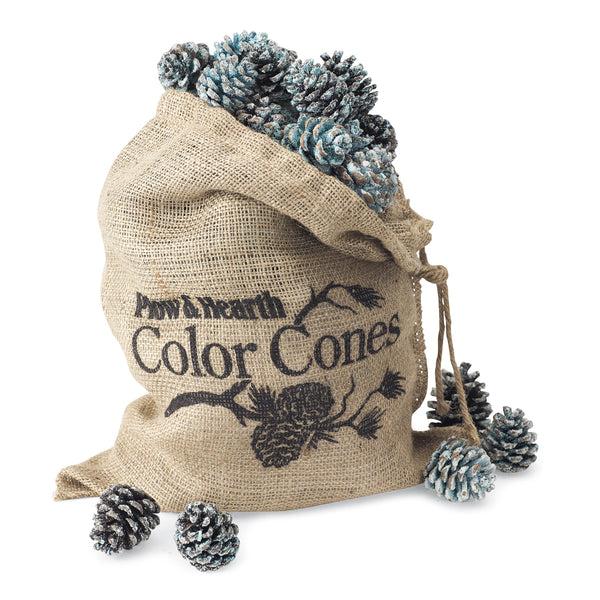 Plow & Hearth Color-Changing Fireplace Color Cones 2 Lb. Bag