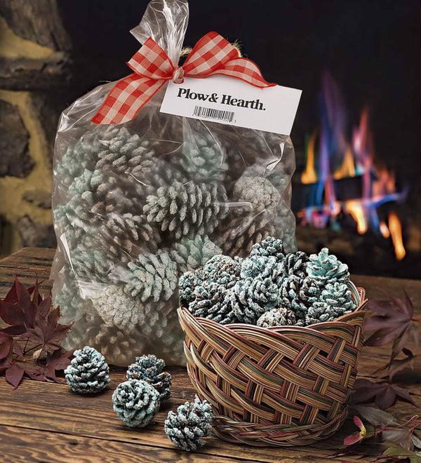Plow & Hearth Color-Changing Fireplace Color Cones 6 Lb. Bag