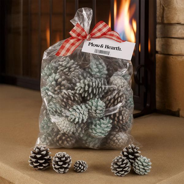 plow & hearth Color-Changing Fireplace Color Cones 6 lb. Bag