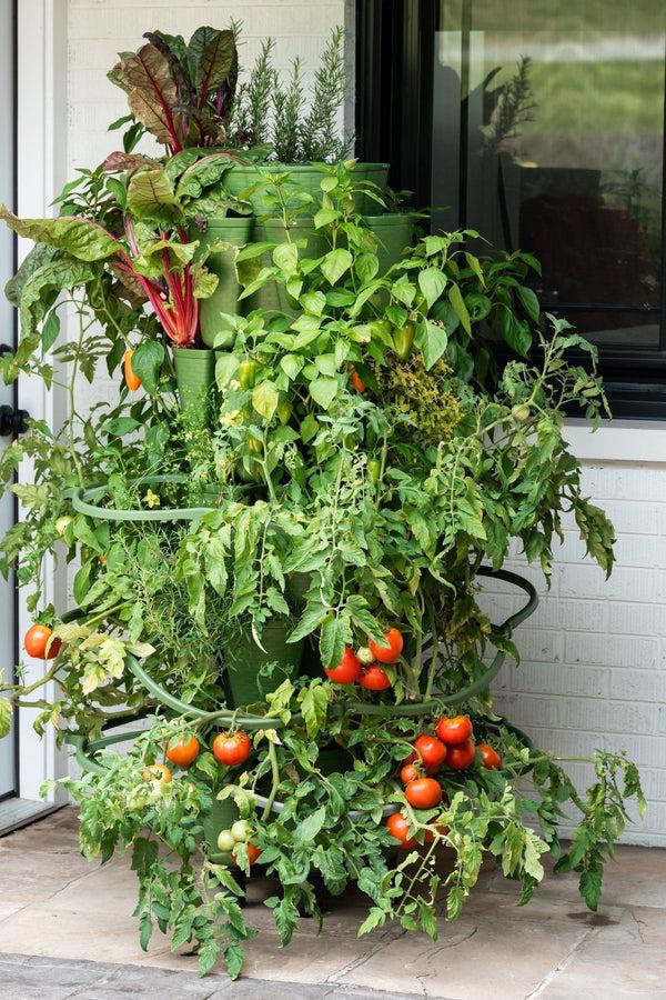 Plow & Hearth GreenStalk Garden Plant Support (Set Of 3)