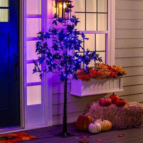 plow & hearth Halloween Maple Indoor/Outdoor LED Color Changing Tree 65"H
