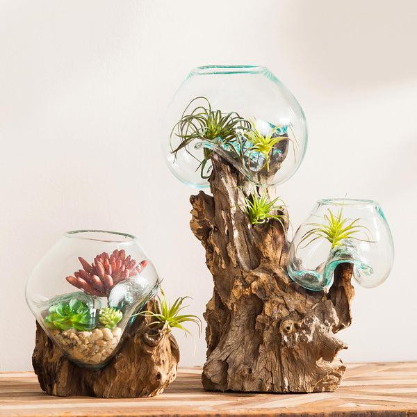 Plow & Hearth Hand Crafted Double Glass Planter On Driftwood