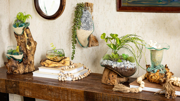 Plow & Hearth Hand Crafted Double Glass Planter On Driftwood