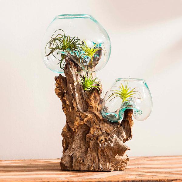 plow & hearth Hand Crafted Double Glass Planter on Driftwood