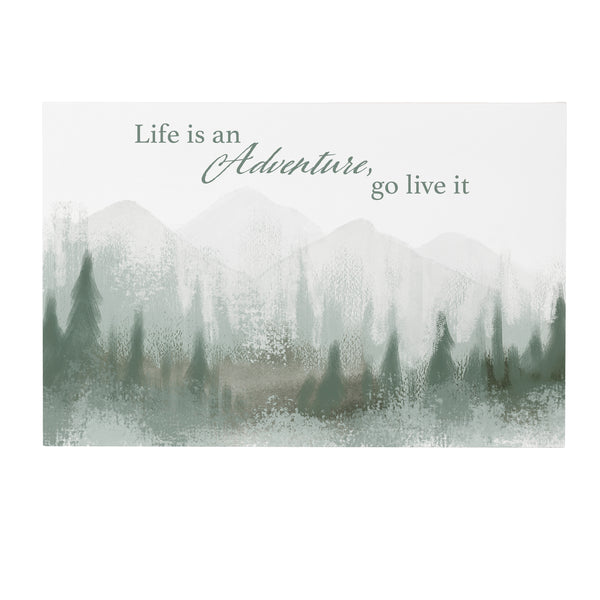 Plow & Hearth High Country Painting Indoor Wall Décor Wood "Life Is An Adventure Go Live It" 24"x16"