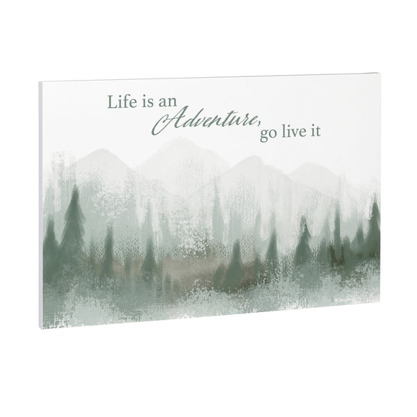 Plow & Hearth High Country Painting Indoor Wall Décor Wood "Life Is An Adventure Go Live It" 24"x16"