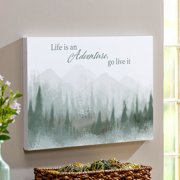 plow & hearth High Country Painting Indoor Wall Décor Wood "Life Is An Adventure Go Live It" 24"x16"