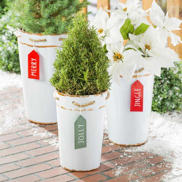 plow & hearth Holly Homestead Planter French Bucket with Holiday Tag Set of 3