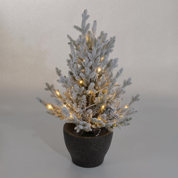 Plow & Hearth Indoor/Outdoor Flocked Roanoke Spruce Potted Tree With Warm White LEDs