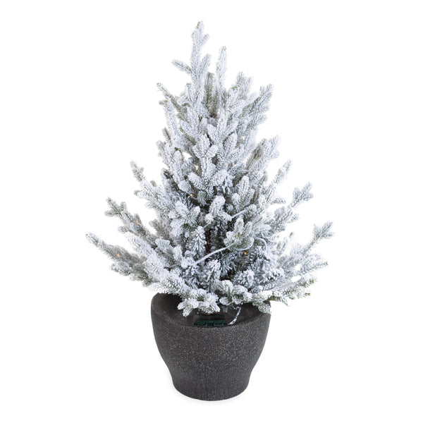 Plow & Hearth Indoor/Outdoor Flocked Roanoke Spruce Potted Tree With Warm White LEDs