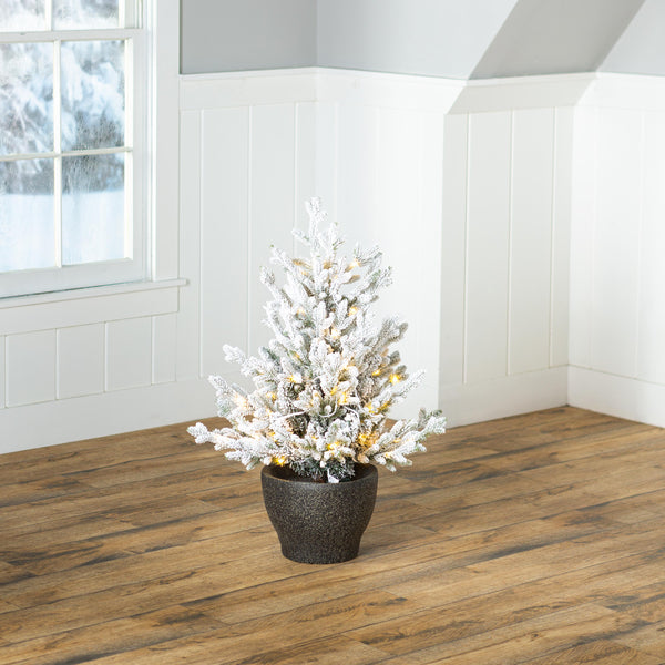 plow & hearth Indoor/Outdoor Flocked Roanoke Spruce Potted Tree with Warm White LEDs