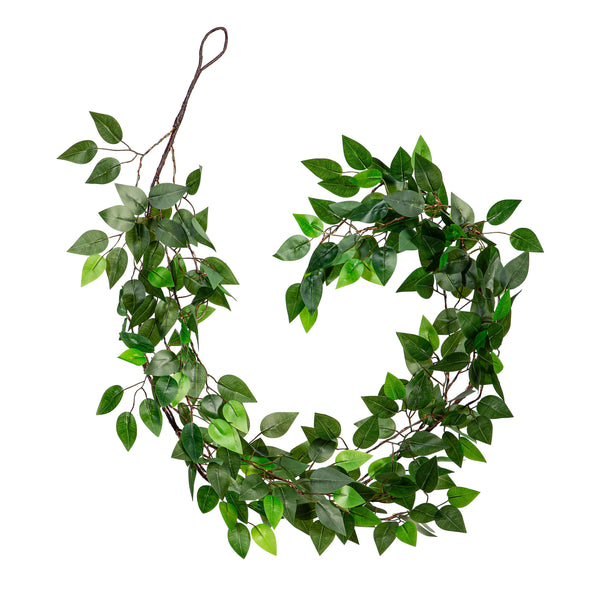 Plow & Hearth Indoor/Outdoor Micro LED Lighted Ficus Garland