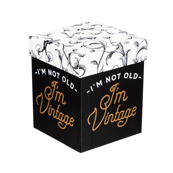 Plow & Hearth Just For Laughs Wine Glass Stemless Glass I'm Not Old I'm Vintage 17oz Gift Box