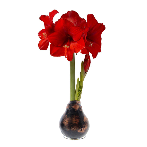 plow & hearth Metallic Self-Contained Waxed Amaryllis Flower Bulb