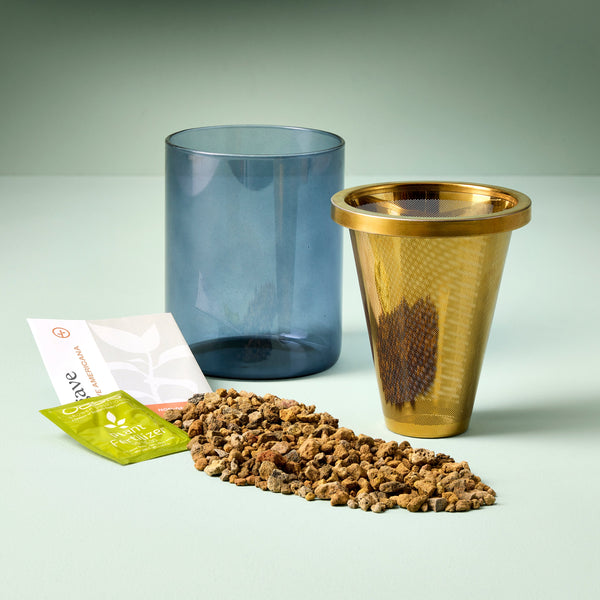 Plow & Hearth Agave Grow Kit