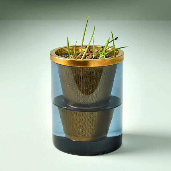 Plow & Hearth Agave Grow Kit