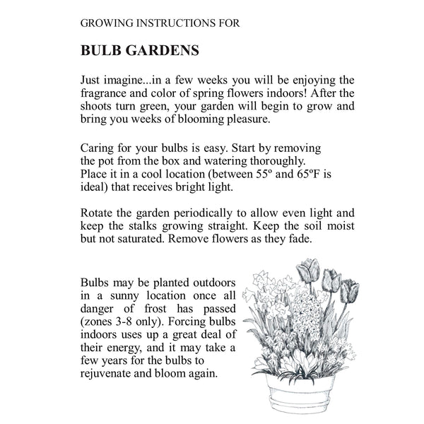 Plow & Hearth All White Flower Bulb Gift Garden