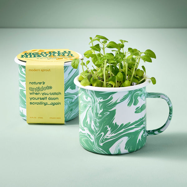 Plow & Hearth Altered Herb Mug Grow Kits