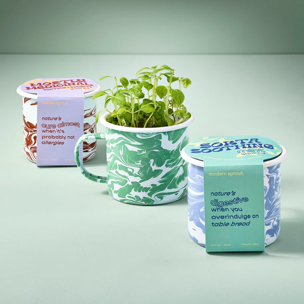 plow & hearth Altered Herb Mug Grow Kits