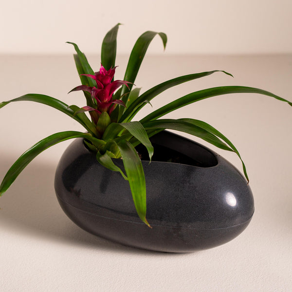 plow & hearth Brazilian Egg Shaped Planter