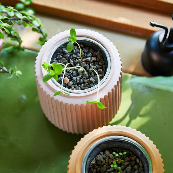 Plow & Hearth Flower Grow Kits