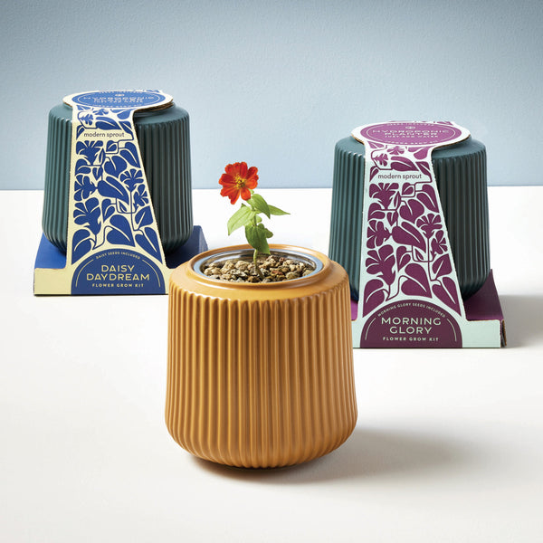 plow & hearth Flower Grow Kits