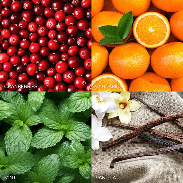 Plow & Hearth Frosted Cranberry Mandarin Candle