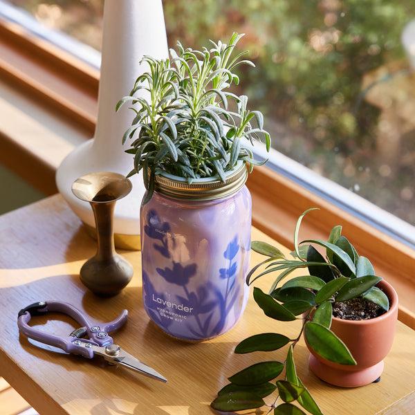 Plow & Hearth Garden Jars - Organic Herbs