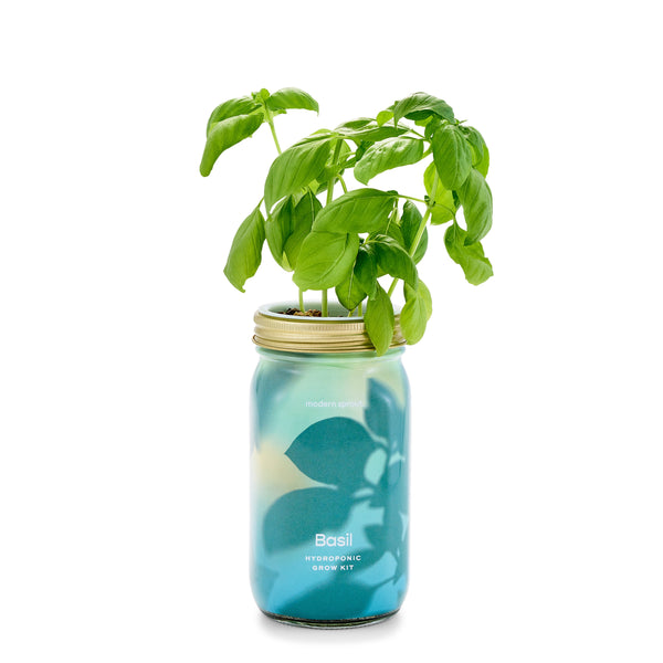 Plow & Hearth Garden Jars - Organic Herbs