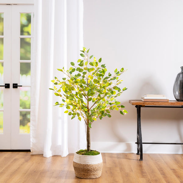 plow & hearth Indoor/Outdoor LED Ficus Tree 4'