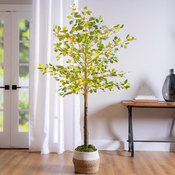 plow & hearth Indoor/Outdoor LED Ficus Tree 6'
