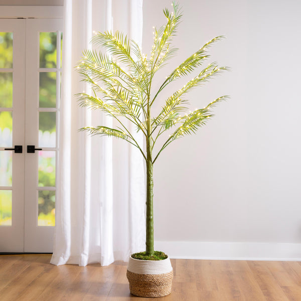 plow & hearth Indoor/Outdoor LED Palm Tree 6'
