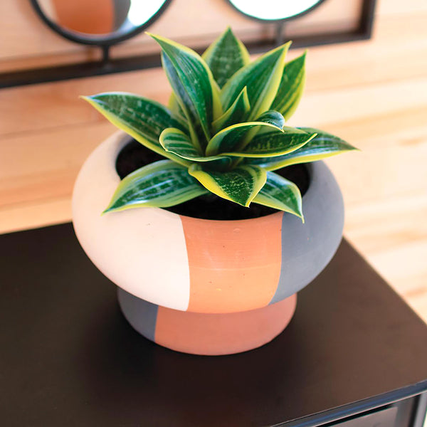 Plow & Hearth Low Striped Planter