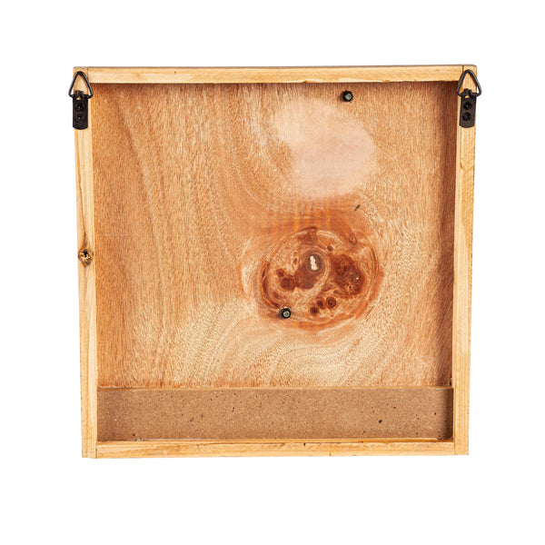 Plow & Hearth Metal And Wood Pet Wall Hooks